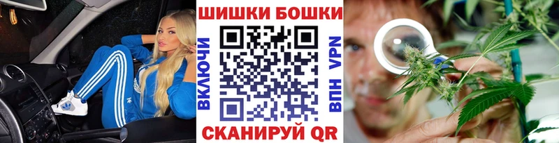 закладка  Беломорск  Бошки марихуана тримм 